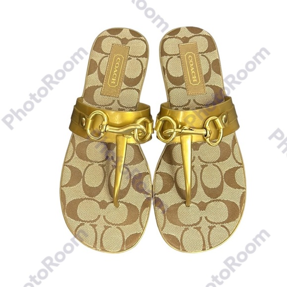 COACH | Rikki Metallic Sandal in Bronze Jelly Signature‎ Gold Lobster Clasp 6 - Picture 1 of 14